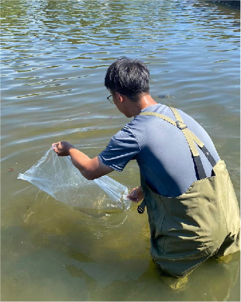 香魚